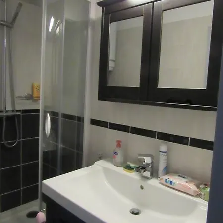 Moderne Avec Coin Montagne La Vallee Blanche 2 La Foux D Appartement *