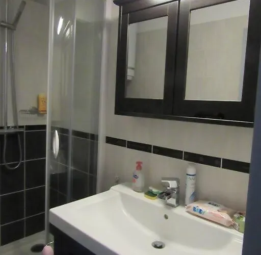 Moderne Avec Coin Montagne La Vallee Blanche 2 La Foux D Apartment *