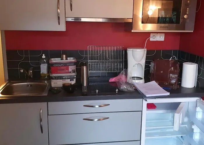 Apartment Moderne Avec Coin Montagne La Vallee Blanche 2 La Foux D *