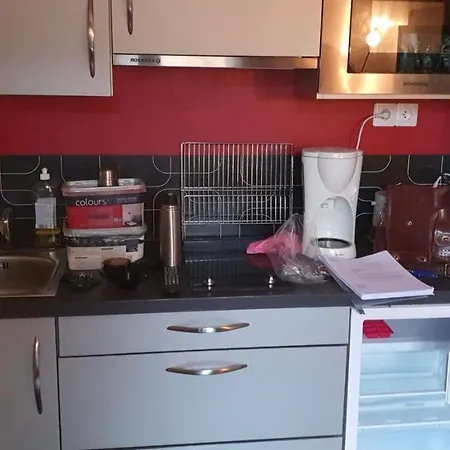 Appartement Moderne Avec Coin Montagne La Vallée Blanche 2 La Foux D *